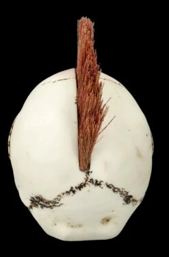 Totenkopf - Irokesen Punker -FIGUREN Verkäufe ML10888 Erstzbilder 6 1280x1280