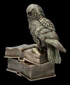 Schatulle - Eule Sitzt Auf Büchern -FIGUREN Verkäufe ML11660 Schatulle Eule sitzt auf Buechern 3 1280x1280