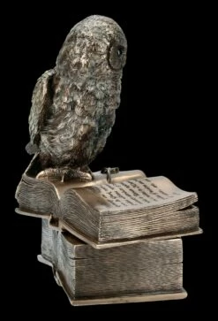 Schatulle - Eule Sitzt Auf Büchern -FIGUREN Verkäufe ML11660 Schatulle Eule sitzt auf Buechern 8 1280x1280
