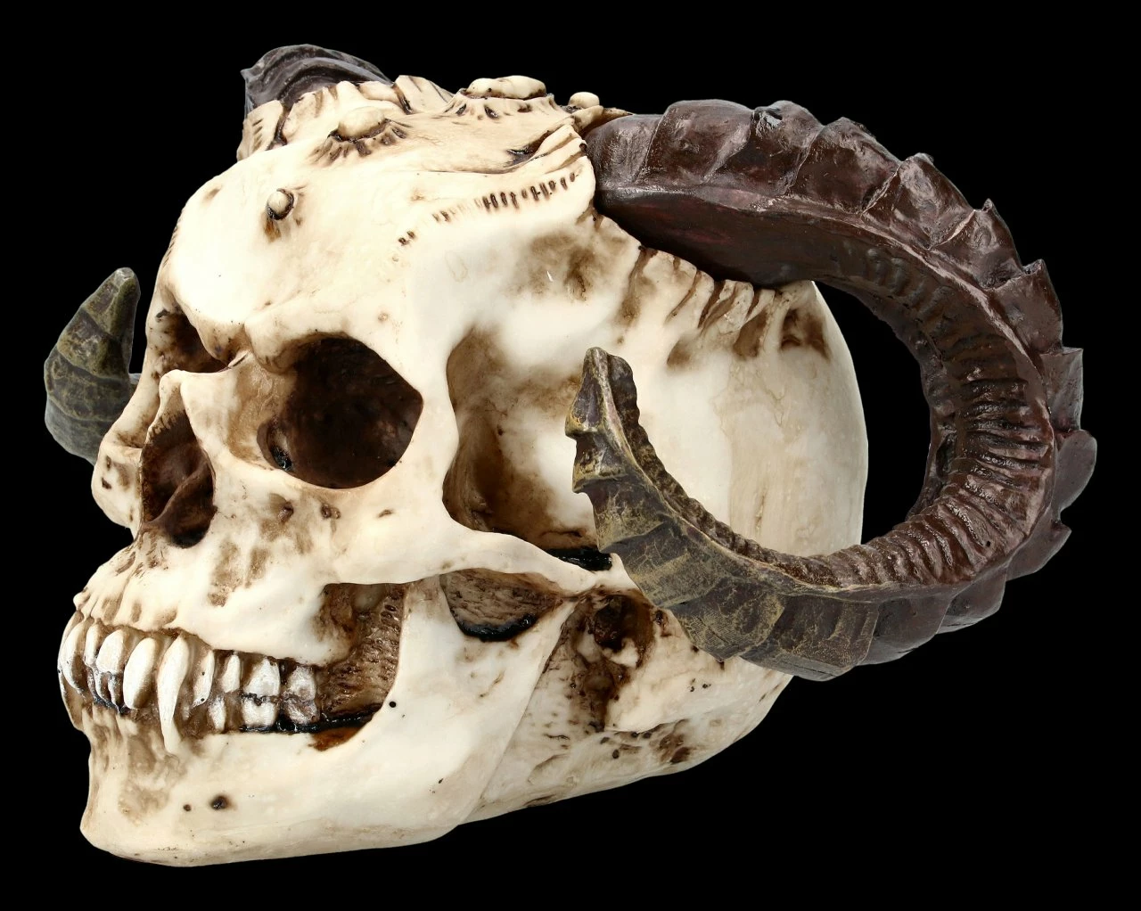 Teufelskopf Mit Widderhörnern 5 Teufelskopf Mit Widderhörnern – Bild 3