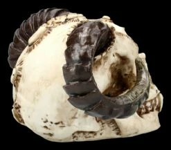 Teufelskopf Mit Widderhörnern 11 Teufelskopf Mit Widderhörnern -FIGUREN Verkäufe ML1799 Teufelskopf mit Widderhoernern 8 1280x1280