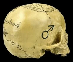 Totenkopf Witchcraft Skull -FIGUREN Verkäufe ML4475 Totenkopf Witchcraft Skull 8 1280x1280