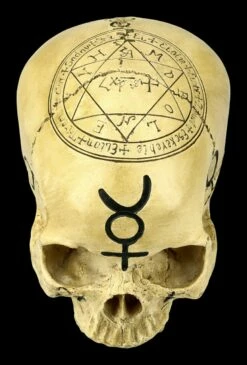 Totenkopf Witchcraft Skull -FIGUREN Verkäufe ML4475 Totenkopf Witchcraft Skull 9 1280x1280