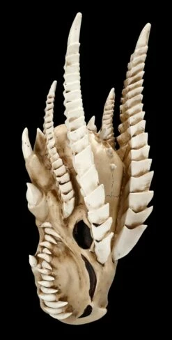 Wandrelief - Drachen Totenkopf Kryss