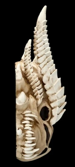 Wandrelief - Drachen Totenkopf Kryss -FIGUREN Verkäufe ML6578 Drachen Totenkopf Wanddeko 5 1280x1280