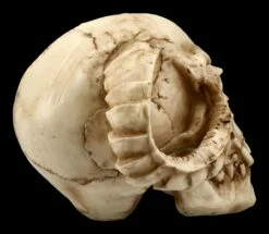 Totenkopf - Gehörnter Teufel -FIGUREN Verkäufe ML8756 Totenkopf Gehoernter Teufel 8 1280x1280