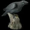 Große Schwarze Raben Figur - Ravens Cry 2 Große Schwarze Raben Figur - Ravens Cry -FIGUREN Verkäufe ML9454 Grosse schwarze Raben Figur Ravens Cry 1 1280x1280