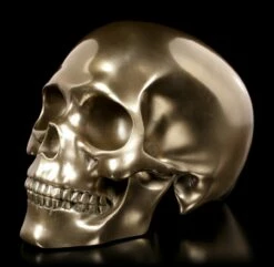 Menschlicher Totenkopf - Bronziert 9 Menschlicher Totenkopf - Bronziert -FIGUREN Verkäufe Menschlicher Totenkopf Bronziert 2 1280x1280