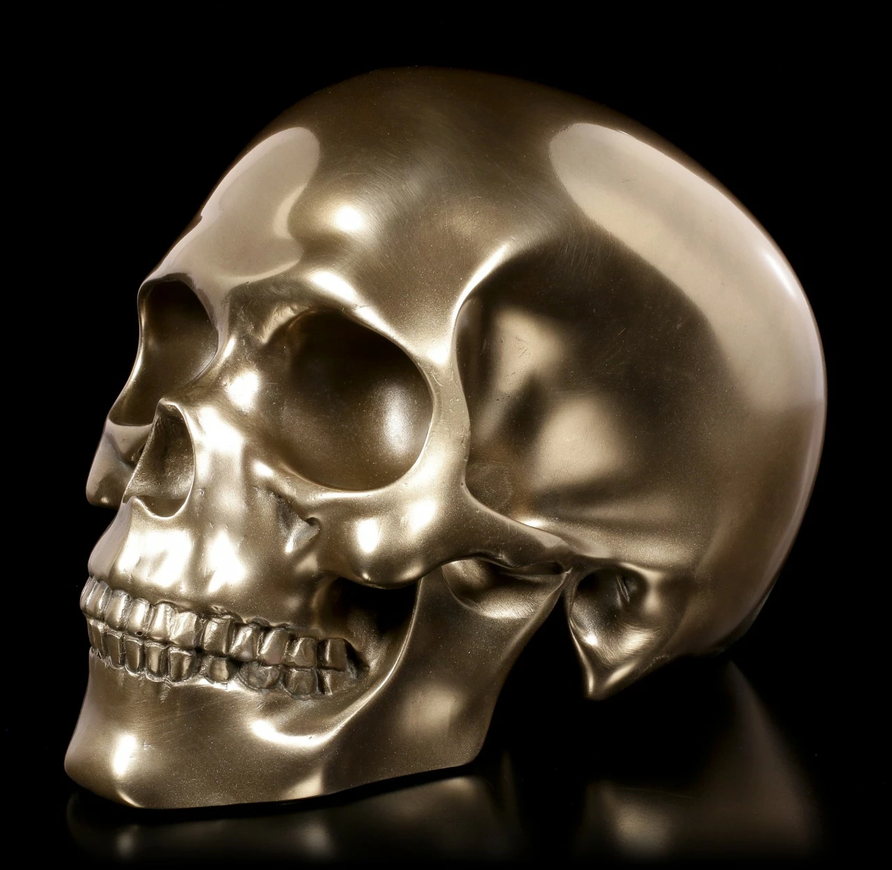 Menschlicher Totenkopf - Bronziert 5 Menschlicher Totenkopf - Bronziert – Bild 3