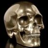 Menschlicher Totenkopf - Bronziert -FIGUREN Verkäufe Menschlicher Totenkopf Bronziert 1280x1280