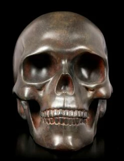 Menschlicher Totenkopf - Rostfarben 8 Menschlicher Totenkopf - Rostfarben -FIGUREN Verkäufe Menschlicher Totenkopf Rostfarben 1 1280x1280