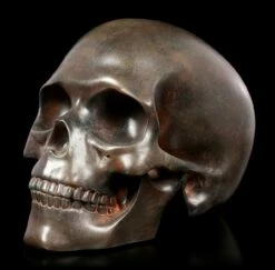 Menschlicher Totenkopf - Rostfarben 9 Menschlicher Totenkopf - Rostfarben -FIGUREN Verkäufe Menschlicher Totenkopf Rostfarben 2 1280x1280