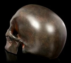 Menschlicher Totenkopf - Rostfarben 10 Menschlicher Totenkopf - Rostfarben -FIGUREN Verkäufe Menschlicher Totenkopf Rostfarben 3 1280x1280
