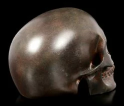 Menschlicher Totenkopf - Rostfarben 11 Menschlicher Totenkopf - Rostfarben -FIGUREN Verkäufe Menschlicher Totenkopf Rostfarben 4 1280x1280