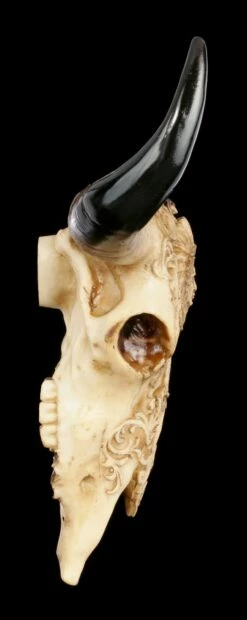 Rinder Schädel Mit Indianerkopf - Old Spirit 10 Rinder Schädel Mit Indianerkopf - Old Spirit -FIGUREN Verkäufe Rinder Bullen Schaedel Mit Indianerkopf Old Spirit 2 1280x1280