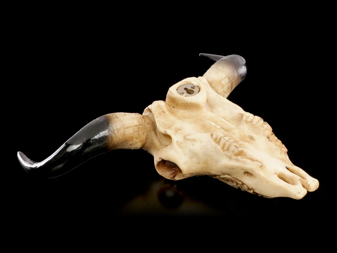 Rinder Schädel Mit Indianerkopf - Old Spirit 8 Rinder Schädel Mit Indianerkopf - Old Spirit – Bild 6