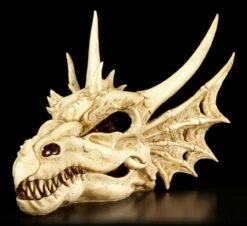 Wandrelief - Schädel Des Letzten Drachen -FIGUREN Verkäufe Schaedel Drachen 257ce52b5034b7 1280x1280