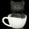 Schwarzes Kätzchen In Tasse -FIGUREN Verkäufe Schwarzes Kaetzchen In Tasse 1 1280x1280