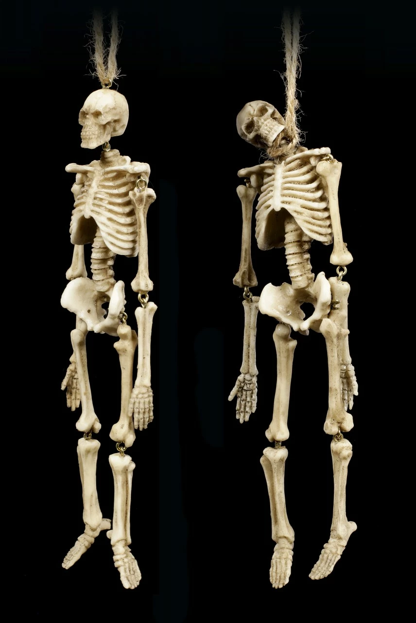 Skelett Figuren Zum Hängen - 2er Set 5 Skelett Figuren Zum Hängen - 2er Set – Bild 3