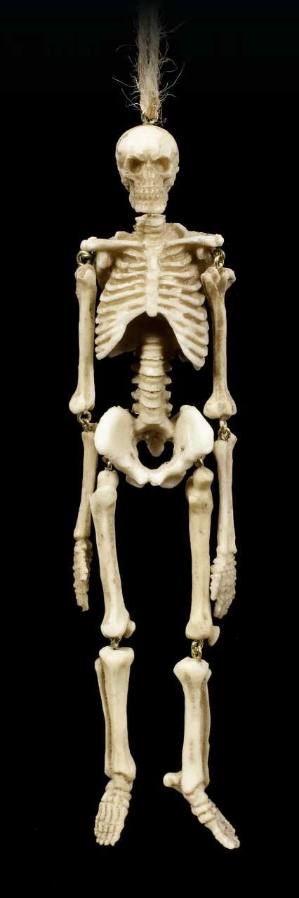 Skelett Figuren Zum Hängen - 2er Set 7 Skelett Figuren Zum Hängen - 2er Set – Bild 5