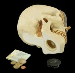 Spardose - Totenkopf Mit Maus -FIGUREN Verkäufe Spardose Totenkopf Maus 10 1280x1280