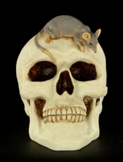 Spardose - Totenkopf Mit Maus -FIGUREN Verkäufe Spardose Totenkopf Maus 1 1280x1280