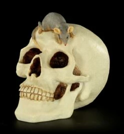 Spardose - Totenkopf Mit Maus -FIGUREN Verkäufe Spardose Totenkopf Maus 2 1280x1280