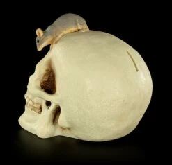 Spardose - Totenkopf Mit Maus -FIGUREN Verkäufe Spardose Totenkopf Maus 4 1280x1280