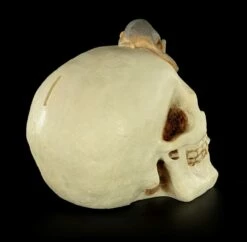Spardose - Totenkopf Mit Maus -FIGUREN Verkäufe Spardose Totenkopf Maus 6 1280x1280