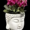Terrakotta Blumentopf - Buddha Kopf -FIGUREN Verkäufe Terracotta Blumentopf Buddha Kopf 1280x1280