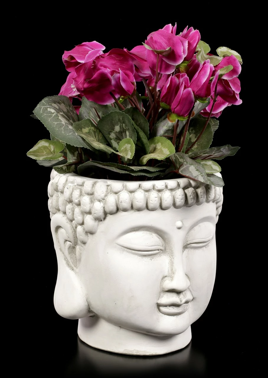 Terrakotta Blumentopf - Buddha Kopf 3 Terrakotta Blumentopf - Buddha Kopf