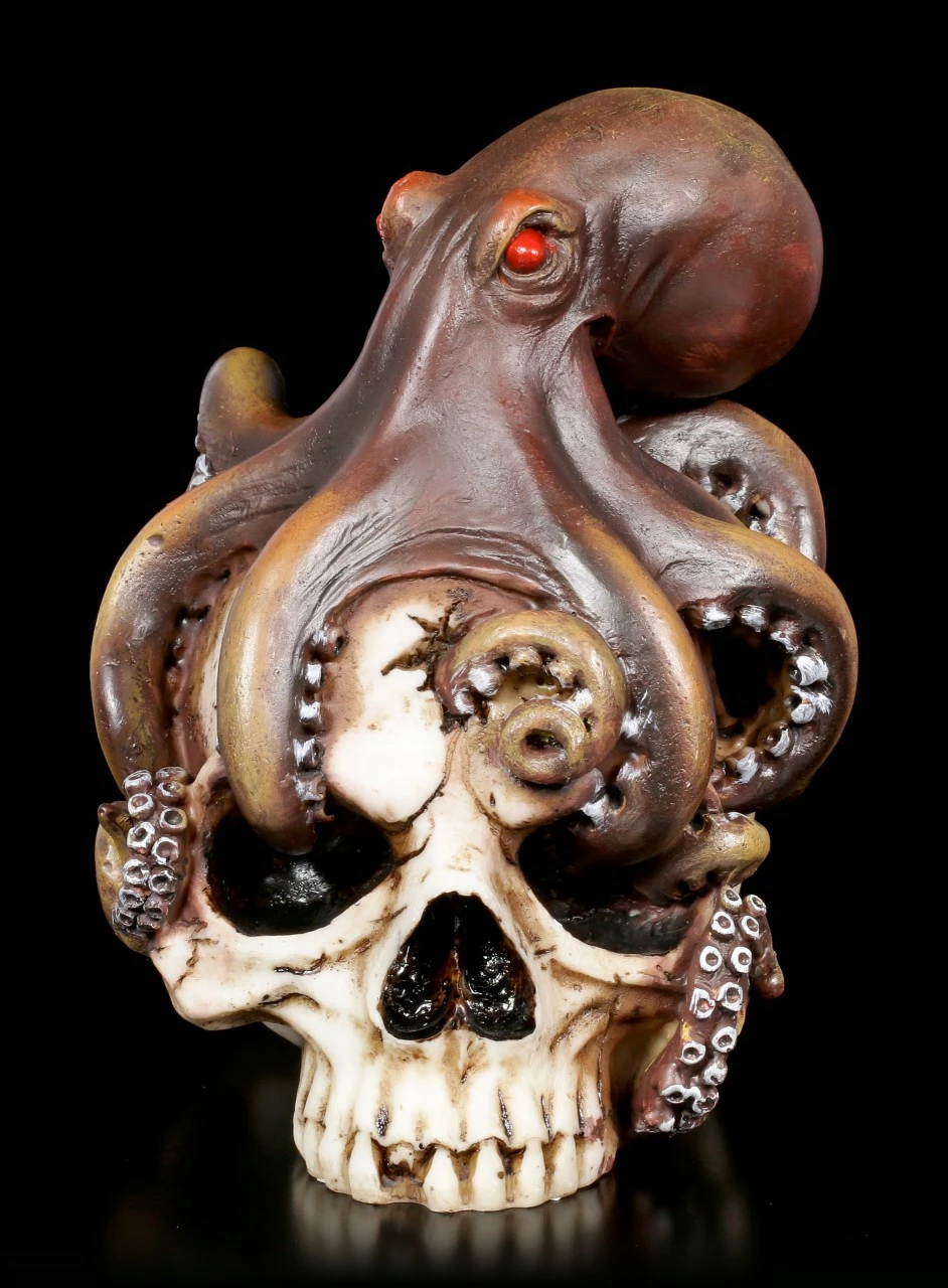 Totenkopf - Oktopus Schädel 4 Totenkopf - Oktopus Schädel – Bild 2