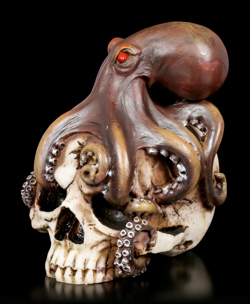 Totenkopf - Oktopus Schädel 5 Totenkopf - Oktopus Schädel – Bild 3