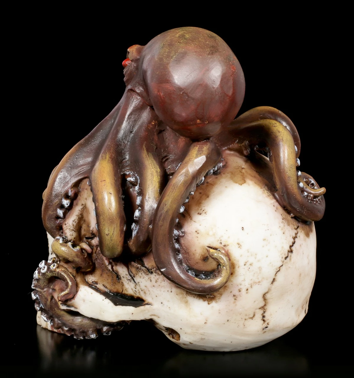 Totenkopf - Oktopus Schädel 6 Totenkopf - Oktopus Schädel – Bild 4