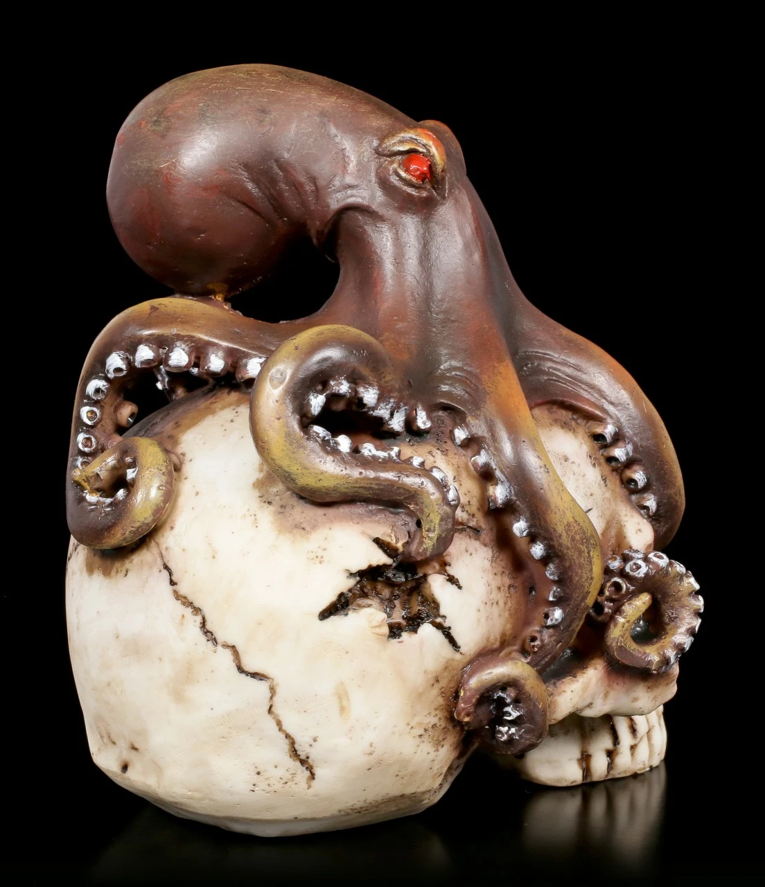 Totenkopf - Oktopus Schädel 7 Totenkopf - Oktopus Schädel – Bild 5