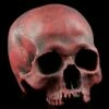 Totenkopf Replikat Frau - Sagus - Karmin Rot Limitiert -FIGUREN Verkäufe Totenkopf Replikat Rot576b9c2a36ea8 1280x1280