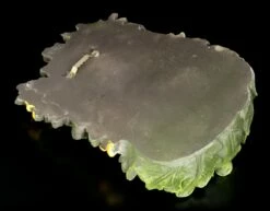 Waldgeist Wandrelief - Elderwood -FIGUREN Verkäufe Waldgeist Wandrelief Elderwood 3 1280x1280