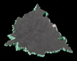 Waldgeist Wandrelief Keltisch - Greenman 7 Waldgeist Wandrelief Keltisch - Greenman -FIGUREN Verkäufe Waldgeist Wandrelief Greenman 2 1280x1280