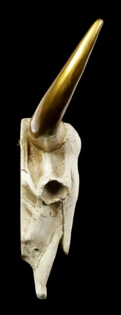 Wandrelief Büffel Schädel - Goldene Hörner -FIGUREN Verkäufe Wandrelief Bueffel Schaedel Mit Goldenen Hoernern 2 1280x1280