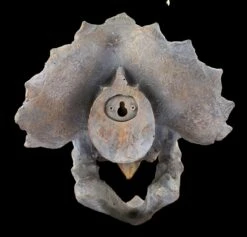 Wandrelief - Dinosaurier Kopf - Triceratops 8 Wandrelief - Dinosaurier Kopf - Triceratops -FIGUREN Verkäufe Wandrelief Dinosaurier Kopf 2 1280x1280