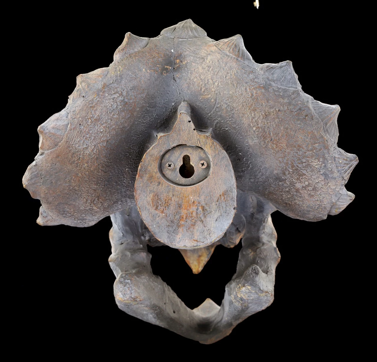 Wandrelief - Dinosaurier Kopf - Triceratops 5 Wandrelief - Dinosaurier Kopf - Triceratops – Bild 3