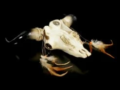 Wandrelief Stier Schädel - Indianer Look -FIGUREN Verkäufe Wandrelief Stier Schaedel Im Indianer Look 4 1280x1280